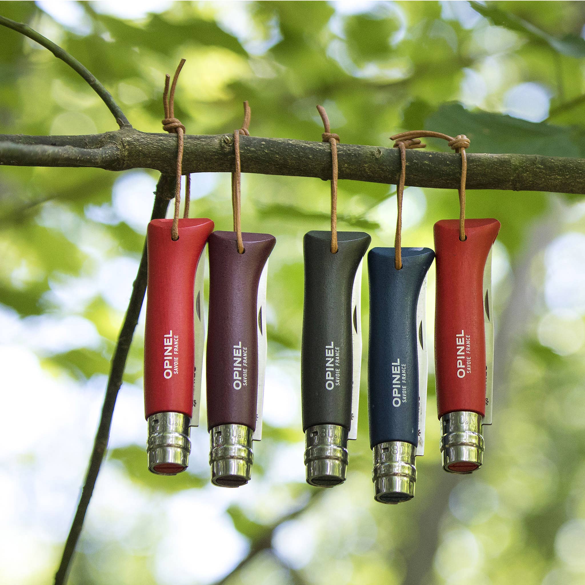 Colorama Stainless Folding Knives