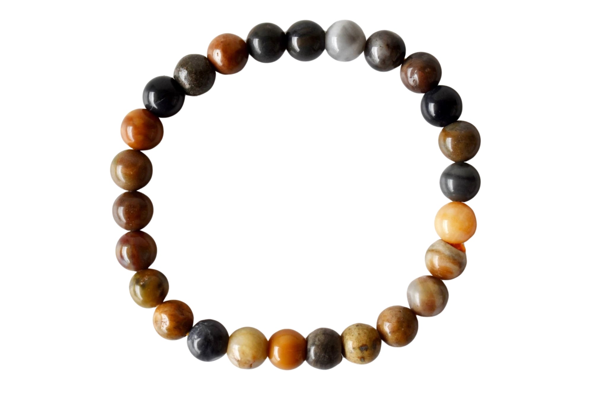 Petrified Wood Bracelet
