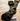 The Merino Sock