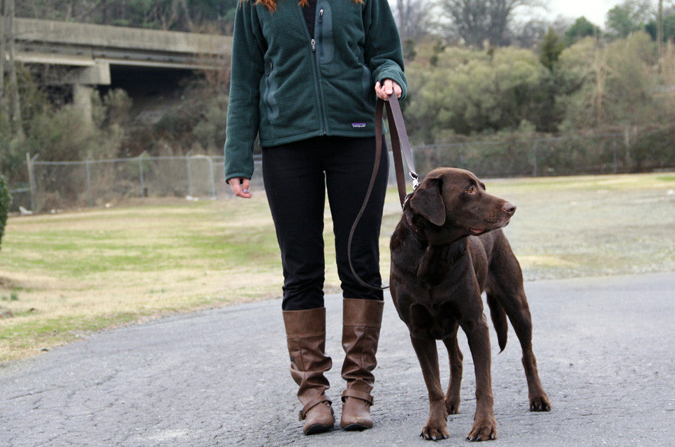 No. 116 - Dog Leash